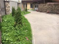 Камелот